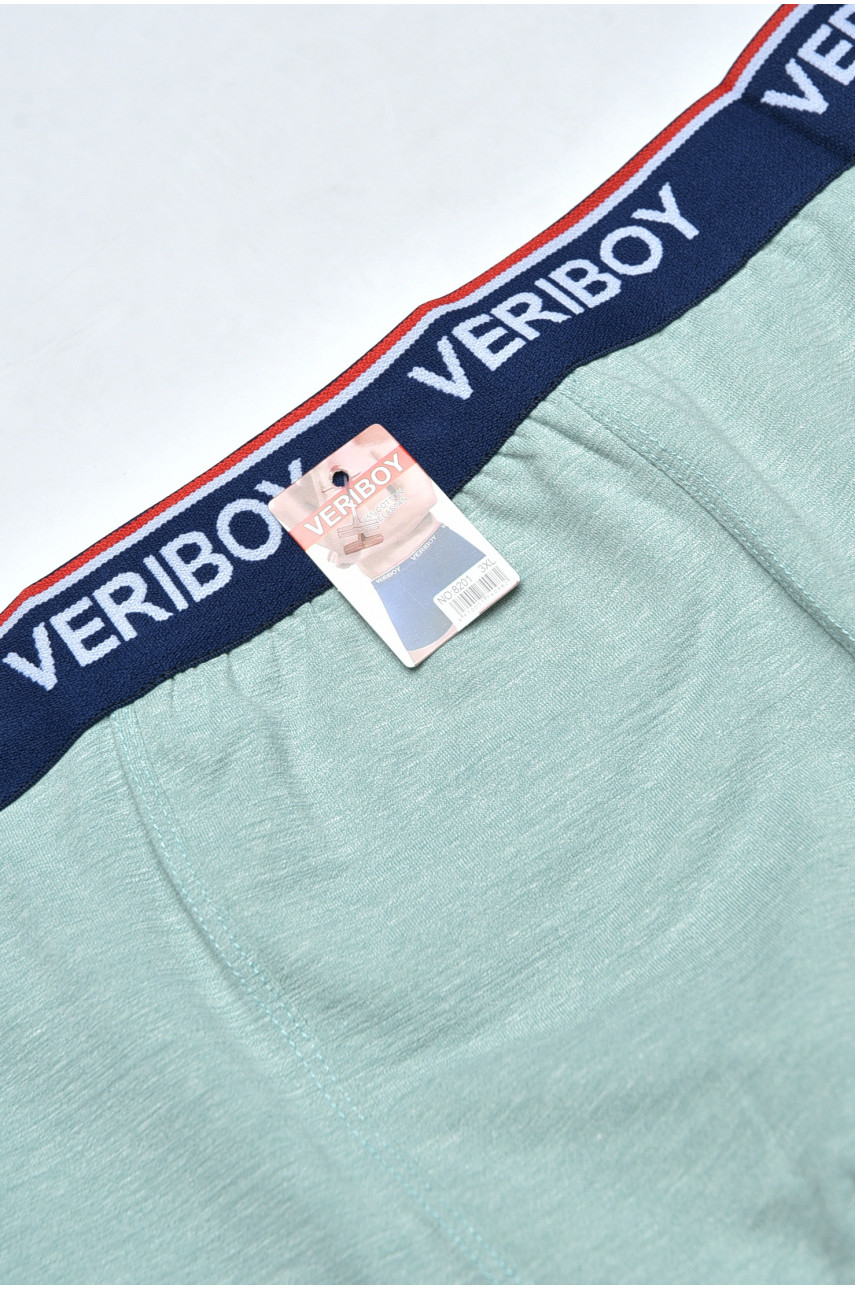 Боксери чоловічі м'ятного кольору 8201 160244