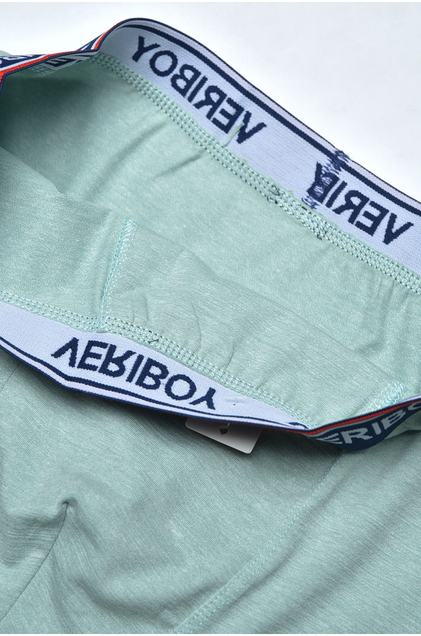 Боксери чоловічі м'ятного кольору 8201 160244