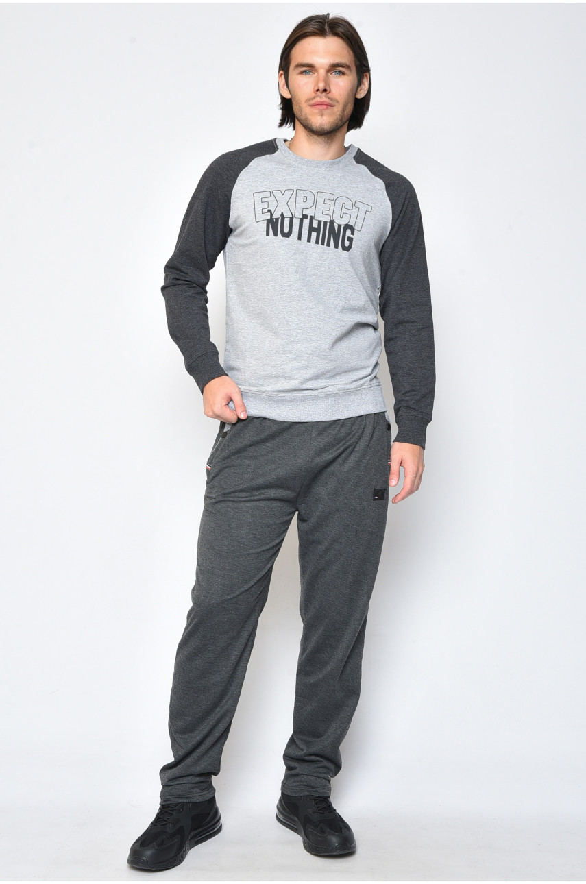 Спортивні штани чоловічі темно-сірого кольору 116В 160890