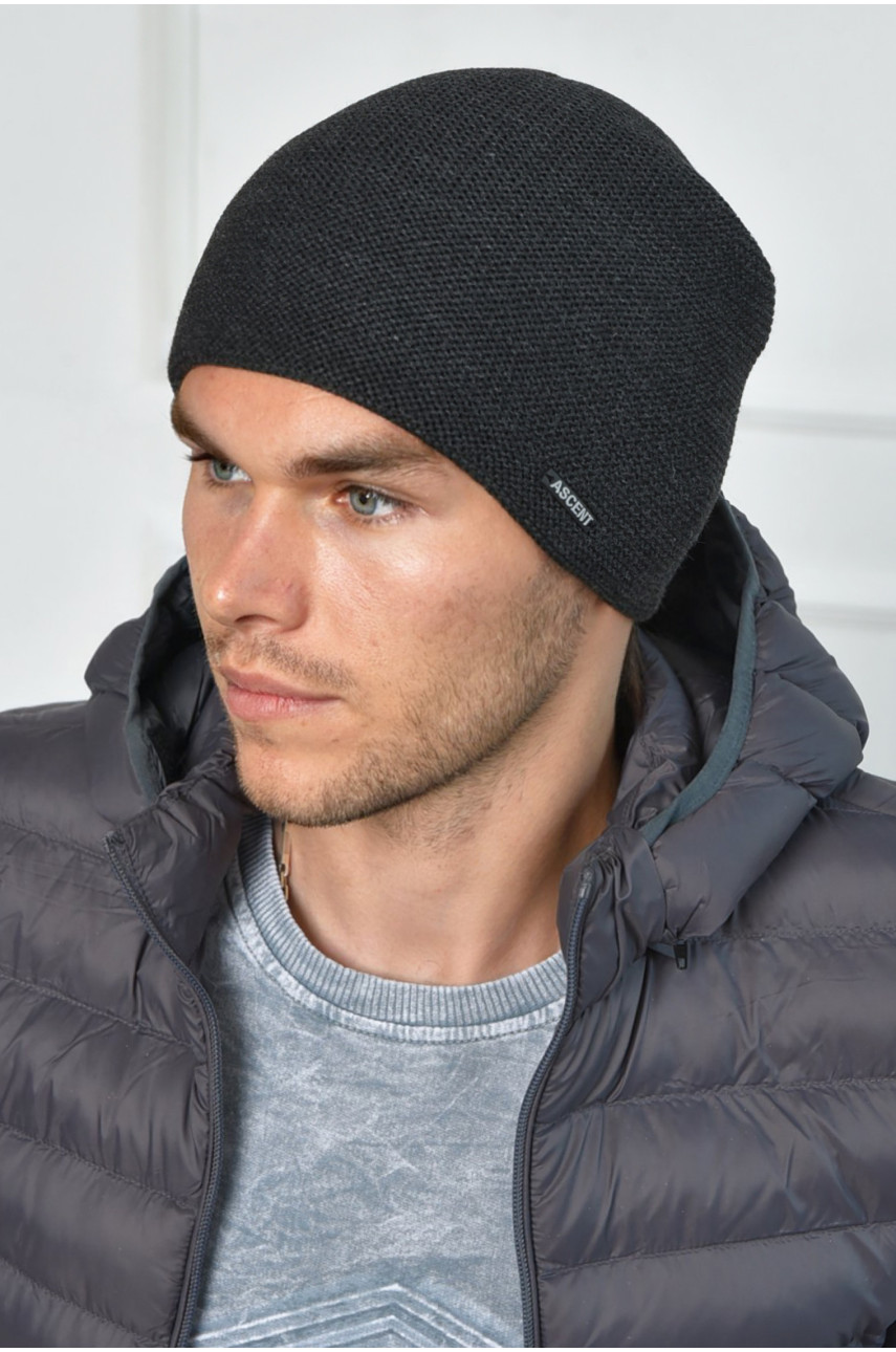 Шапка мужская на флисе серого цвета 163773