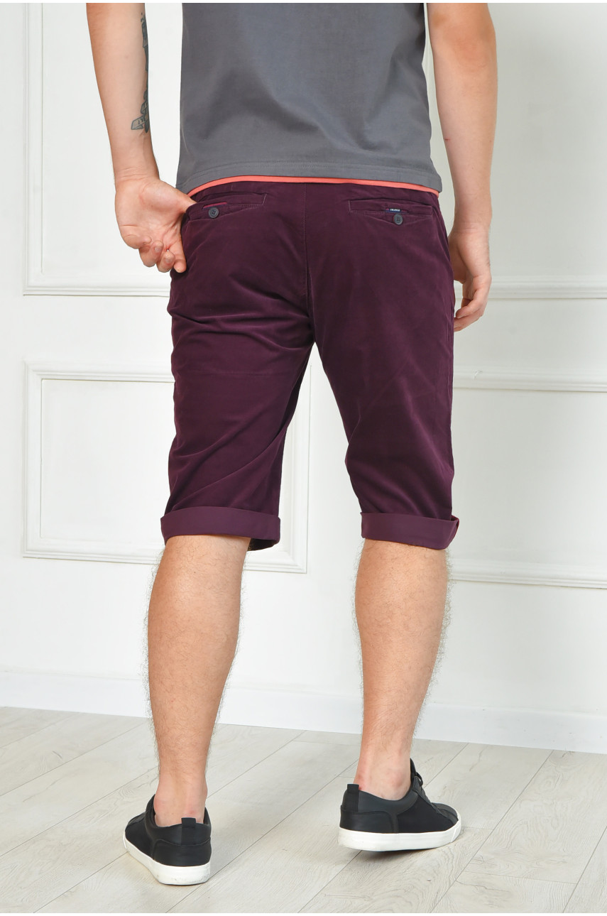 Бриджи мужские микровельветовые темно-фиолетового цвета LS14-0019 163942