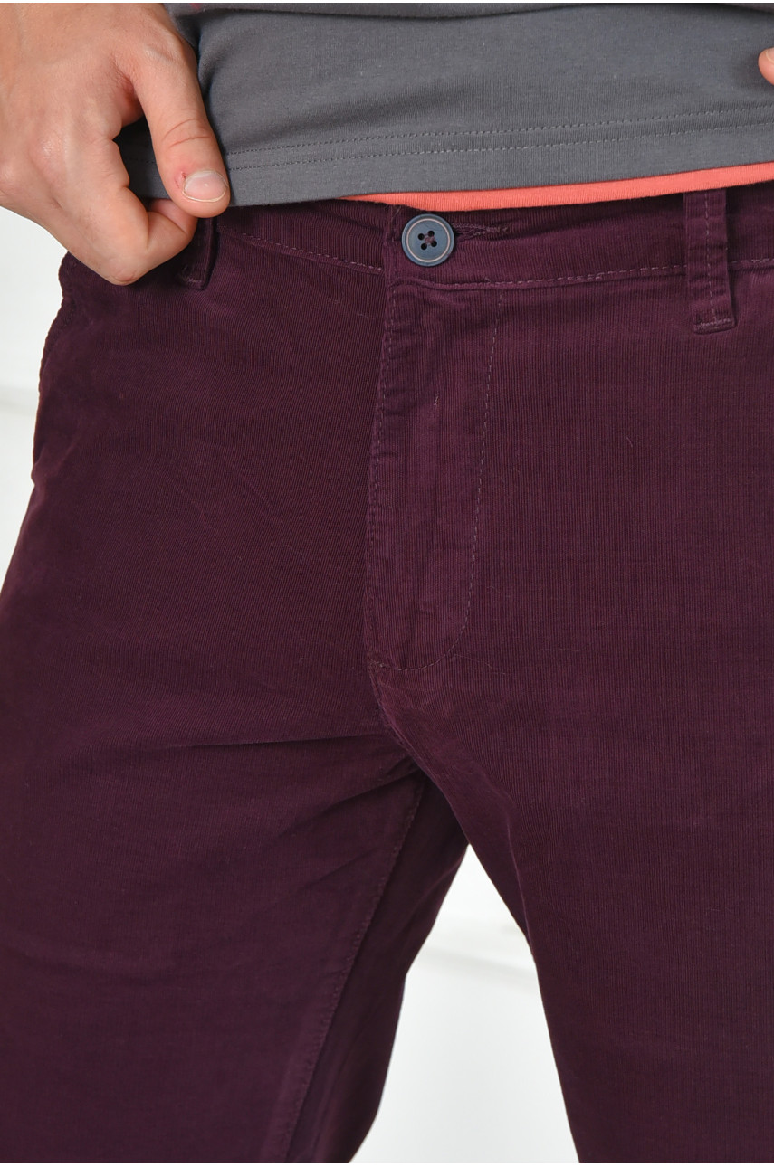 Бриджи мужские микровельветовые темно-фиолетового цвета LS14-0019 163942