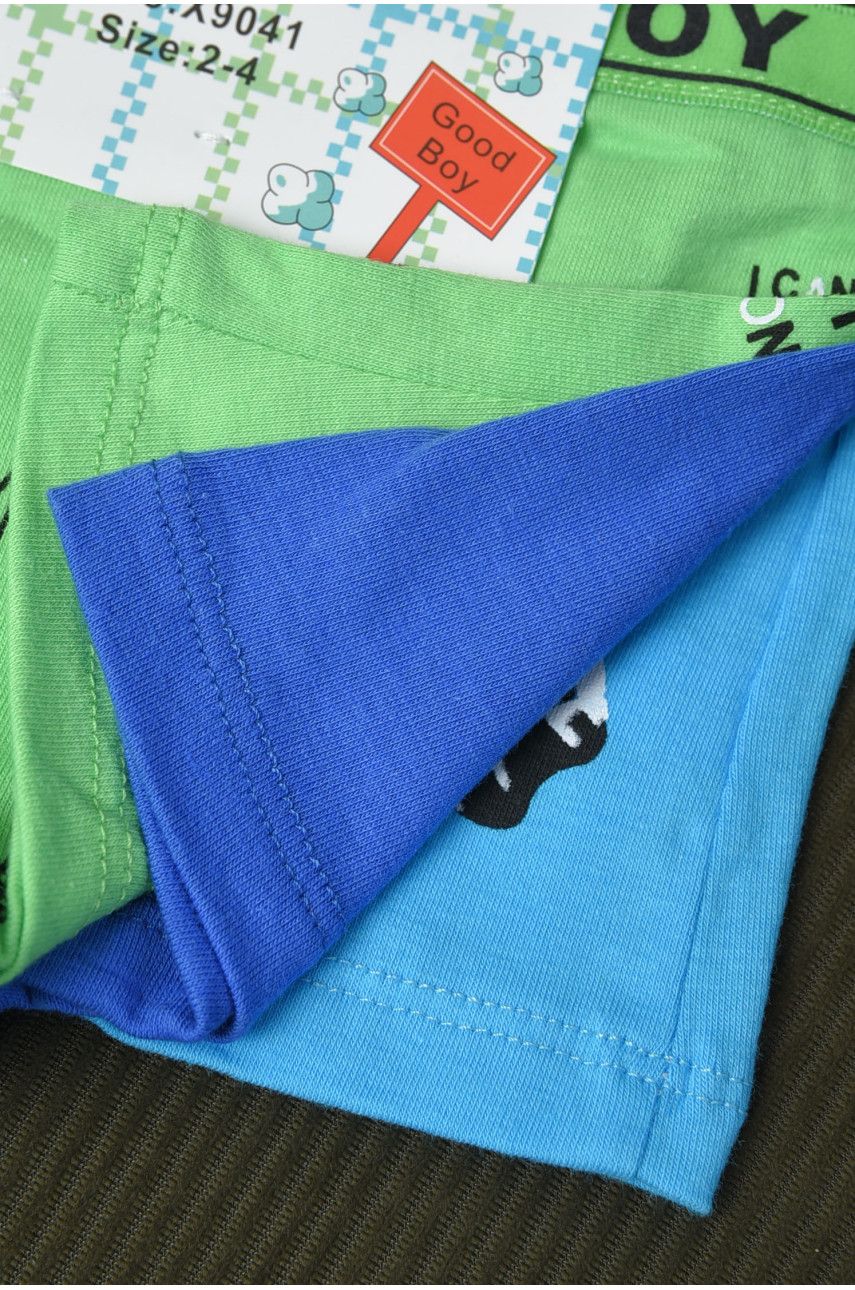 Комплект боксерів дитячих для хлопчика 3 шт х9041 165631 Комплект боксерів дитячих для хлопчика 3 шт х9041 165631