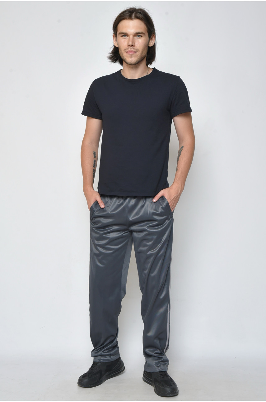 Спортивные штаны мужские серого цвета 0084 165735