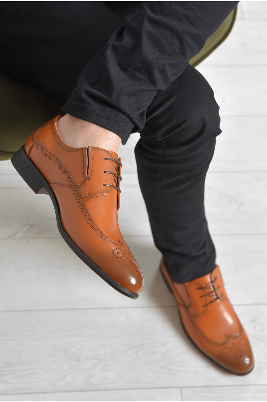 Туфлі чоловічі коричневого кольору FB016-3 166216