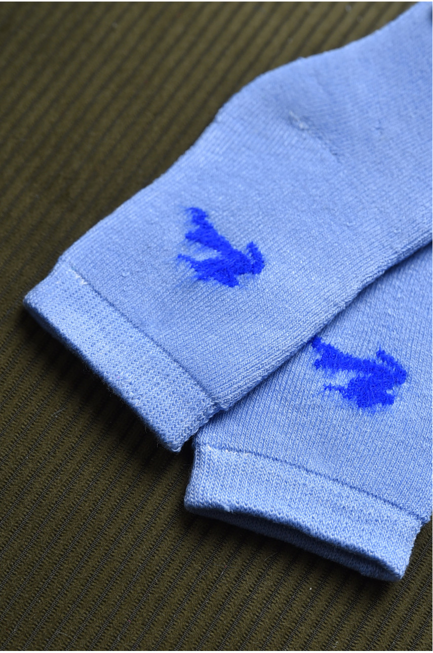 Шкарпетки дитячі махрові блакитного кольору 597 167855