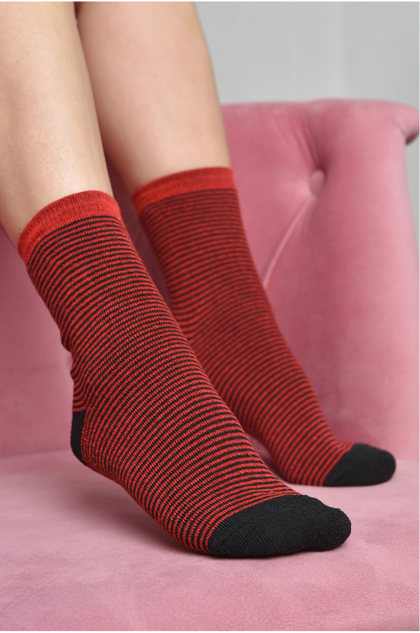 Шкарпетки махрові жіночі чорного кольору в червону смужку розмір 23-25(36-39) 169240