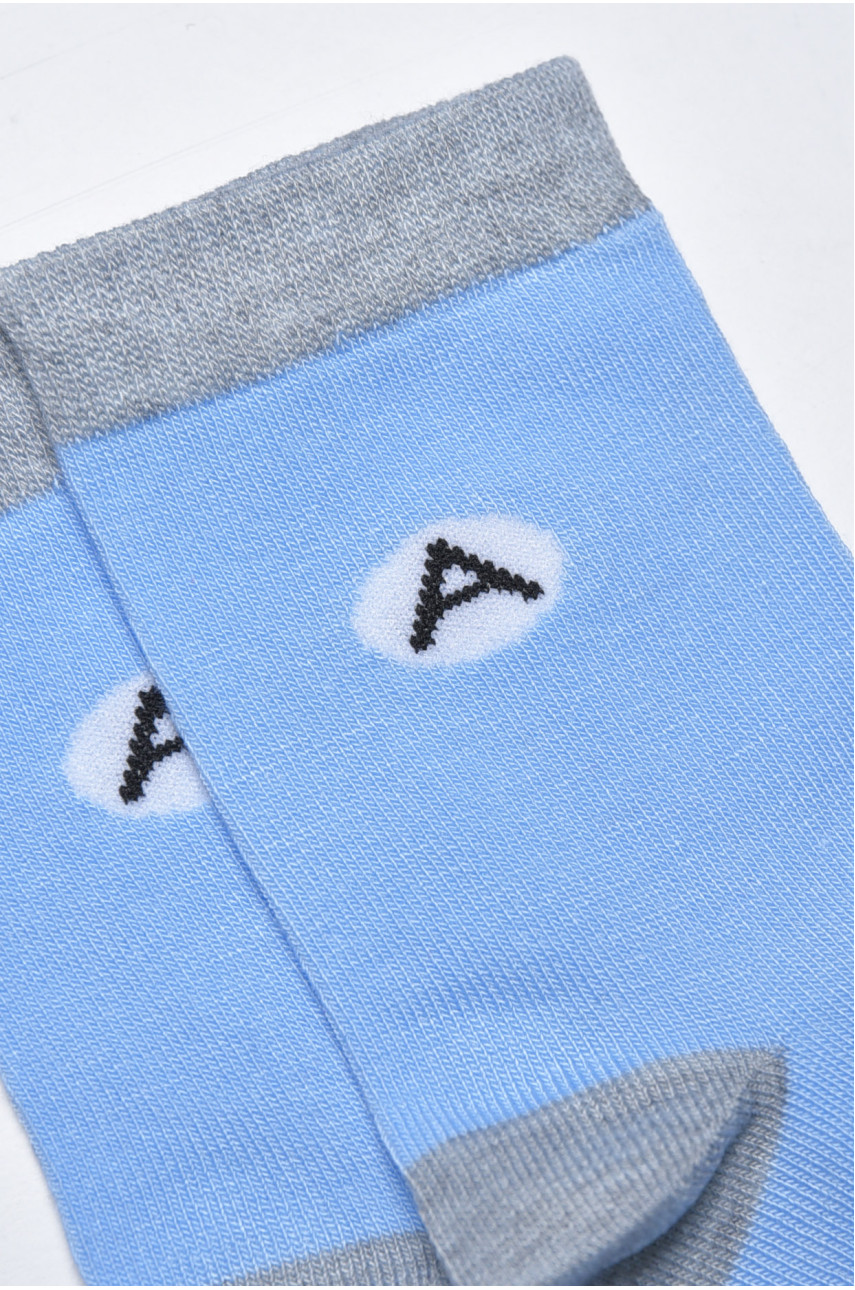 Шкарпетки підліткові блакитного кольору С119 169774