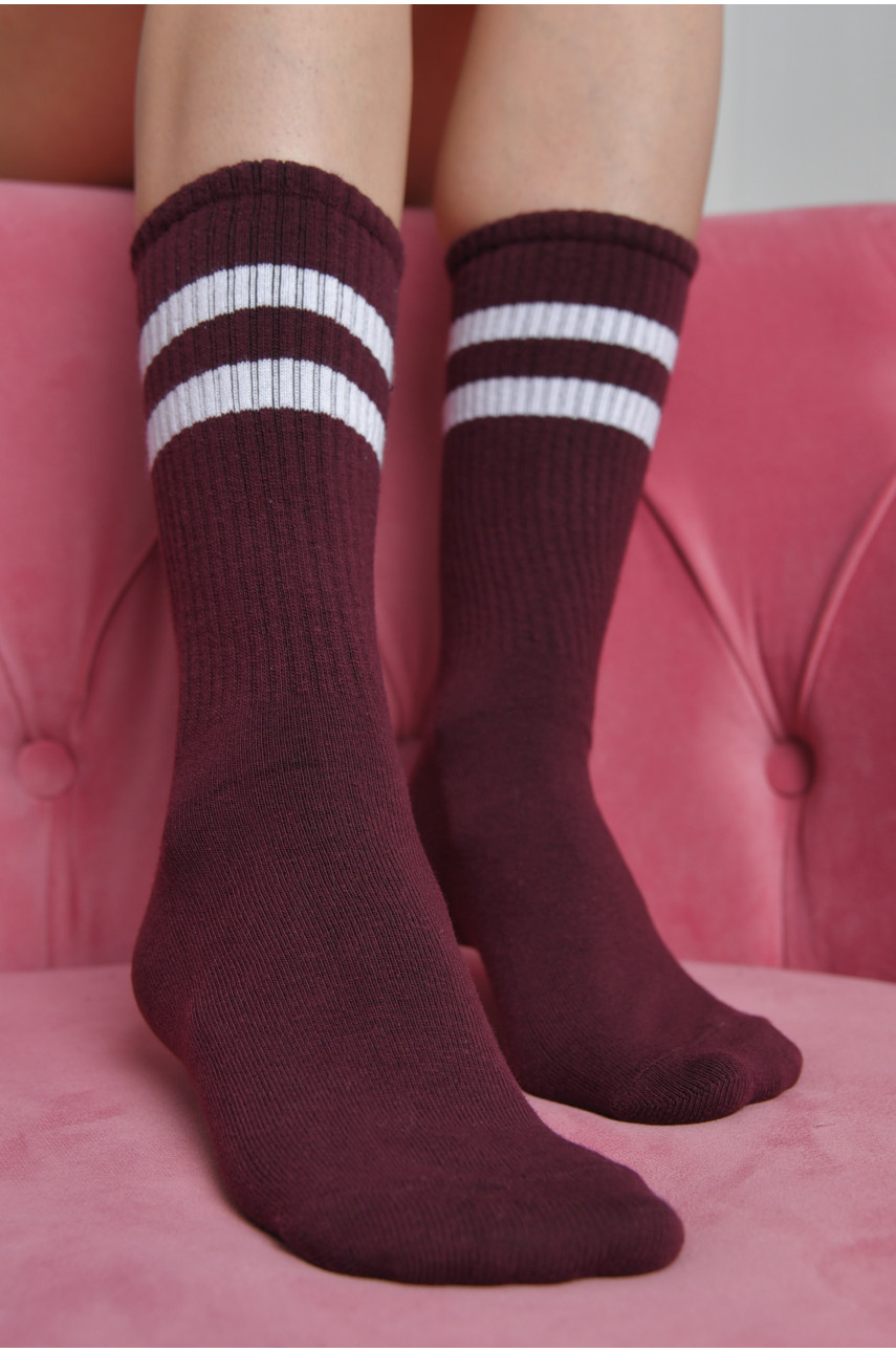 Шкарпетки жіночі високі темно-бордового кольору розмір 36-40 170039