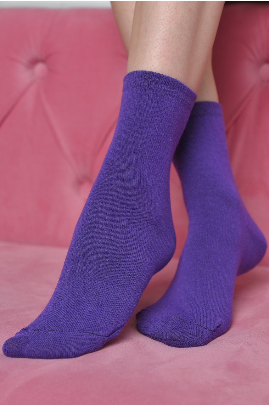 Шкарпетки жіночі демісезонні фіолетового кольору 170465