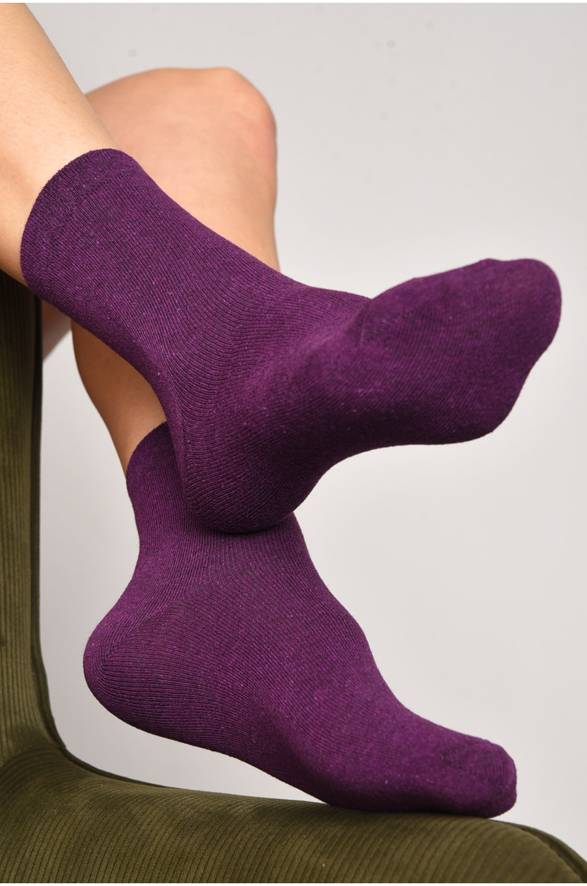 Шкарпетки жіночі демісезонні фіолетового кольору розмір 35-41 005 172791