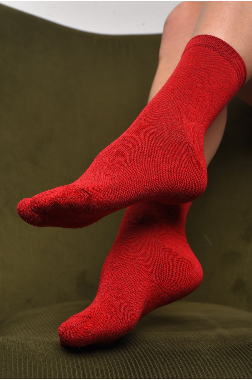 Шкарпетки жіночі демісезонні бордового кольору розмір 36-40 005 172865