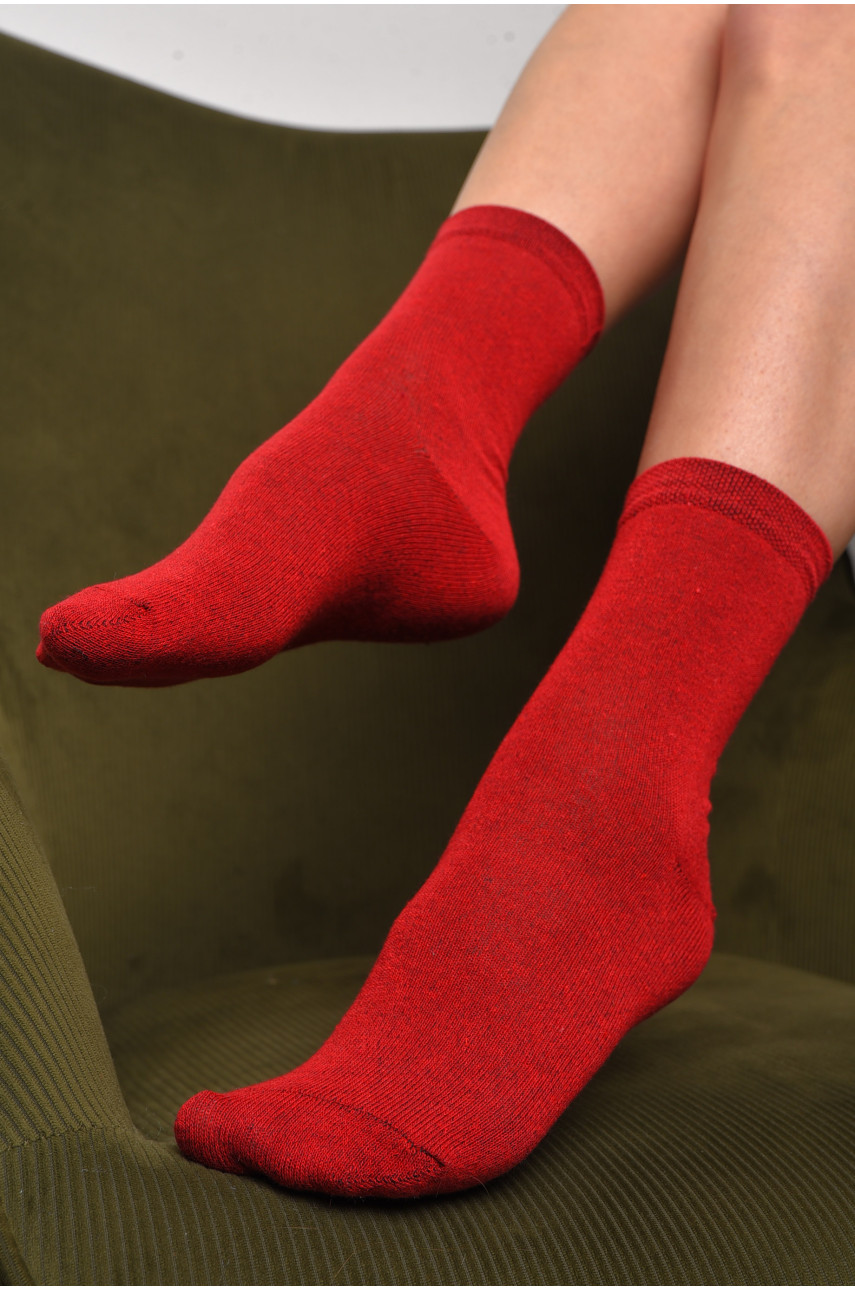 Шкарпетки жіночі демісезонні бордового кольору розмір 36-40 005 172865