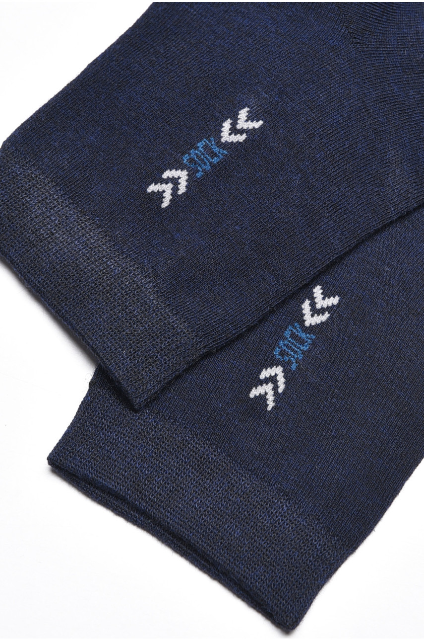 Шкарпетки чоловічі демісезонні синього кольору 175508