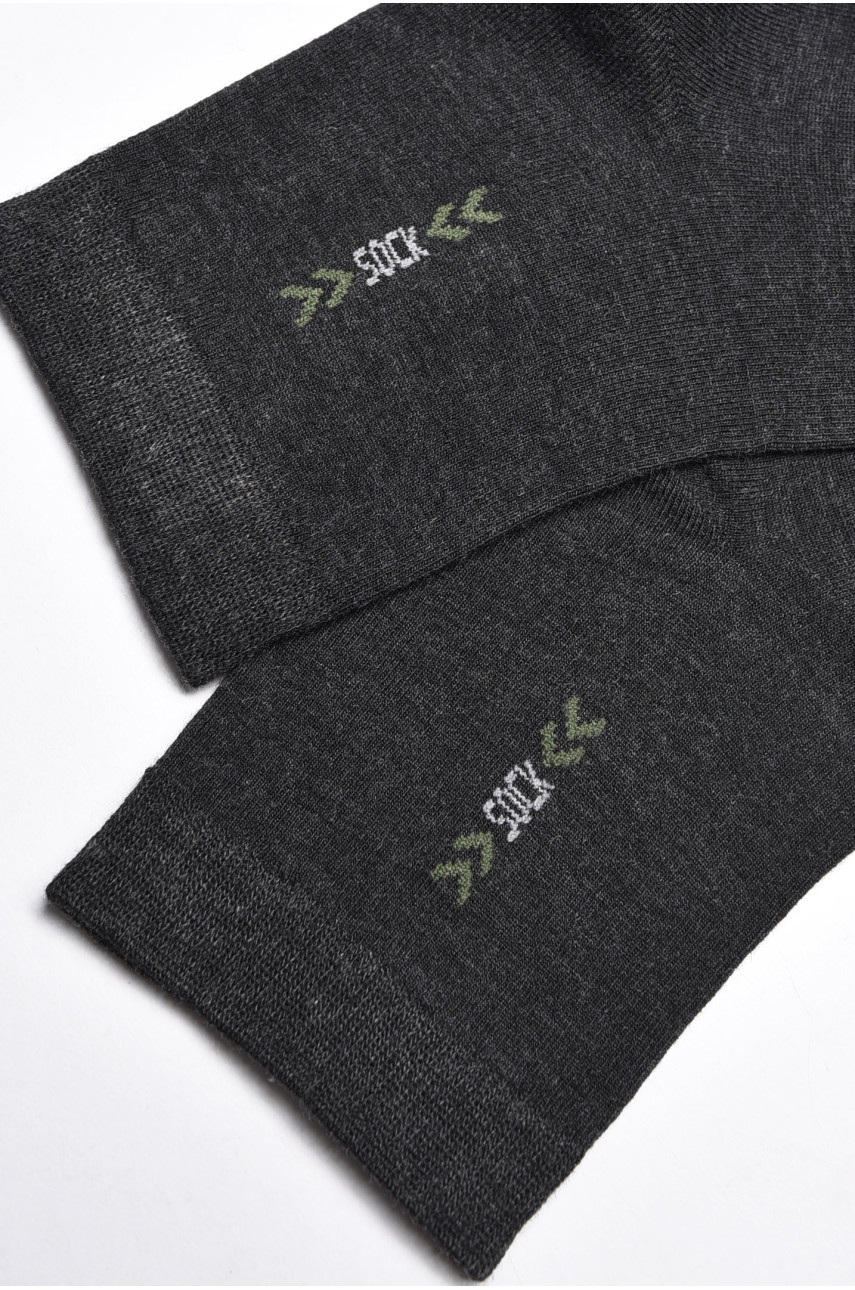 Шкарпетки чоловічі демісезонні темно-сірого кольору 175512