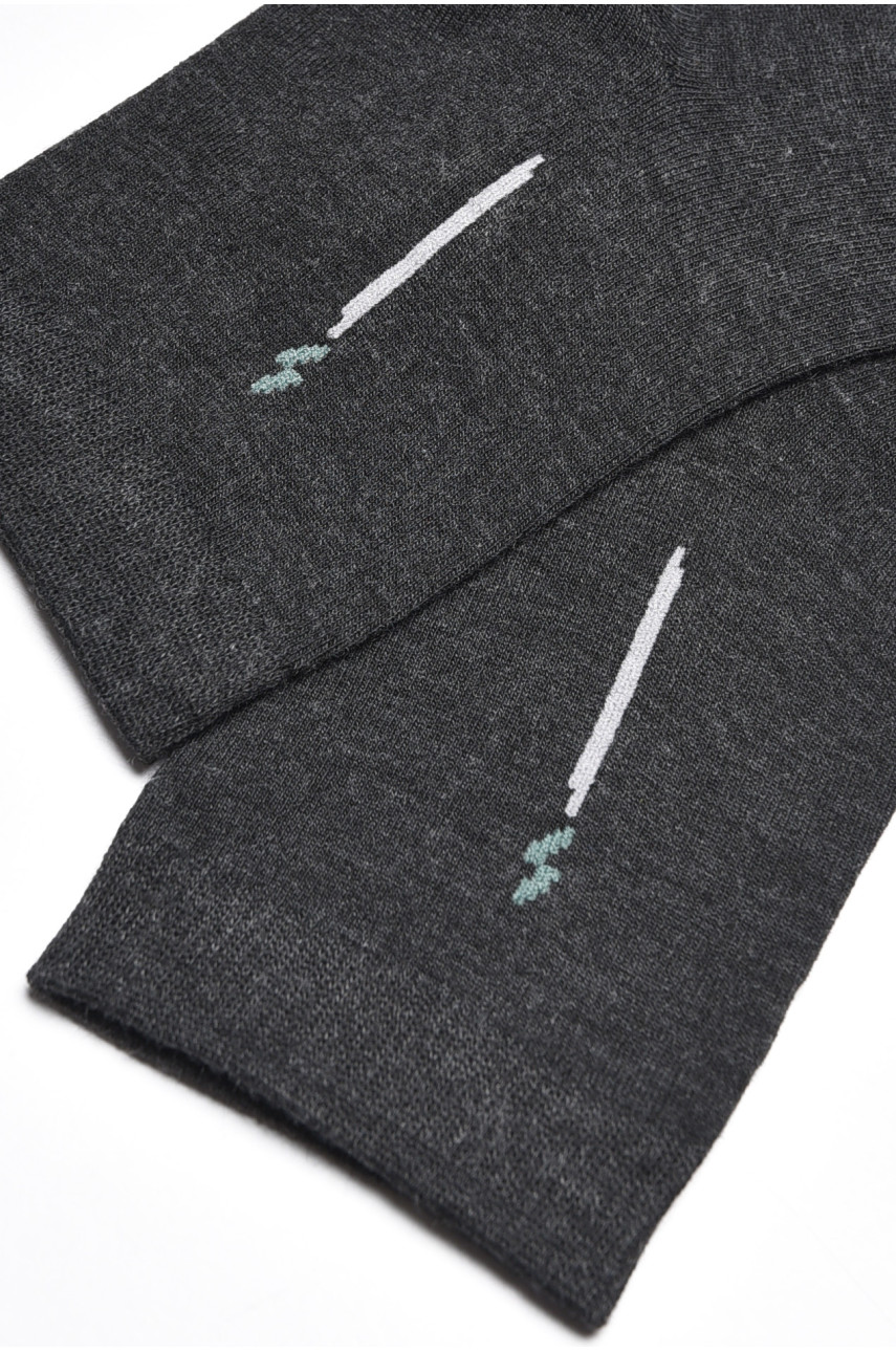 Шкарпетки чоловічі демісезонні темно-сірого кольору 23-9 175525