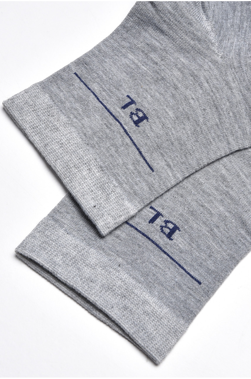 Шкарпетки чоловічі демісезонні сірого кольору 23-8 175531