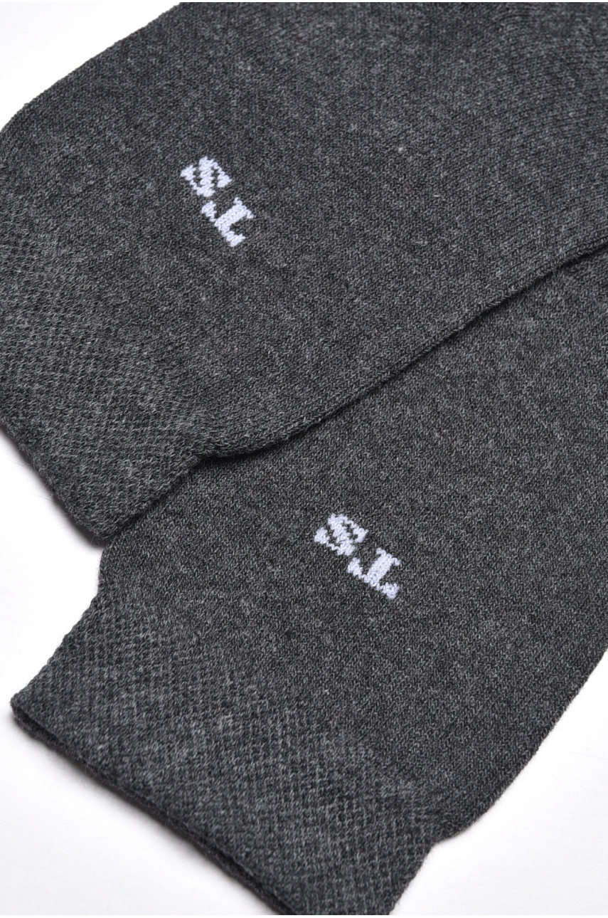 Шкарпетки чоловічі демісезонні темно-сірого кольору 175544