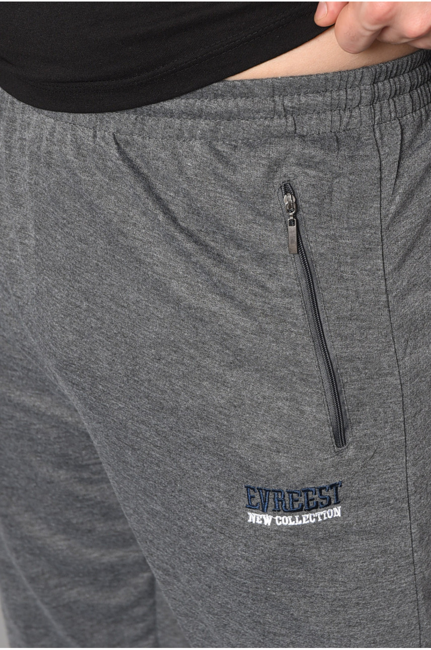 Спортивные штаны мужские серого цвета 4772 178367 Спортивные штаны мужские серого цвета 4772 178367