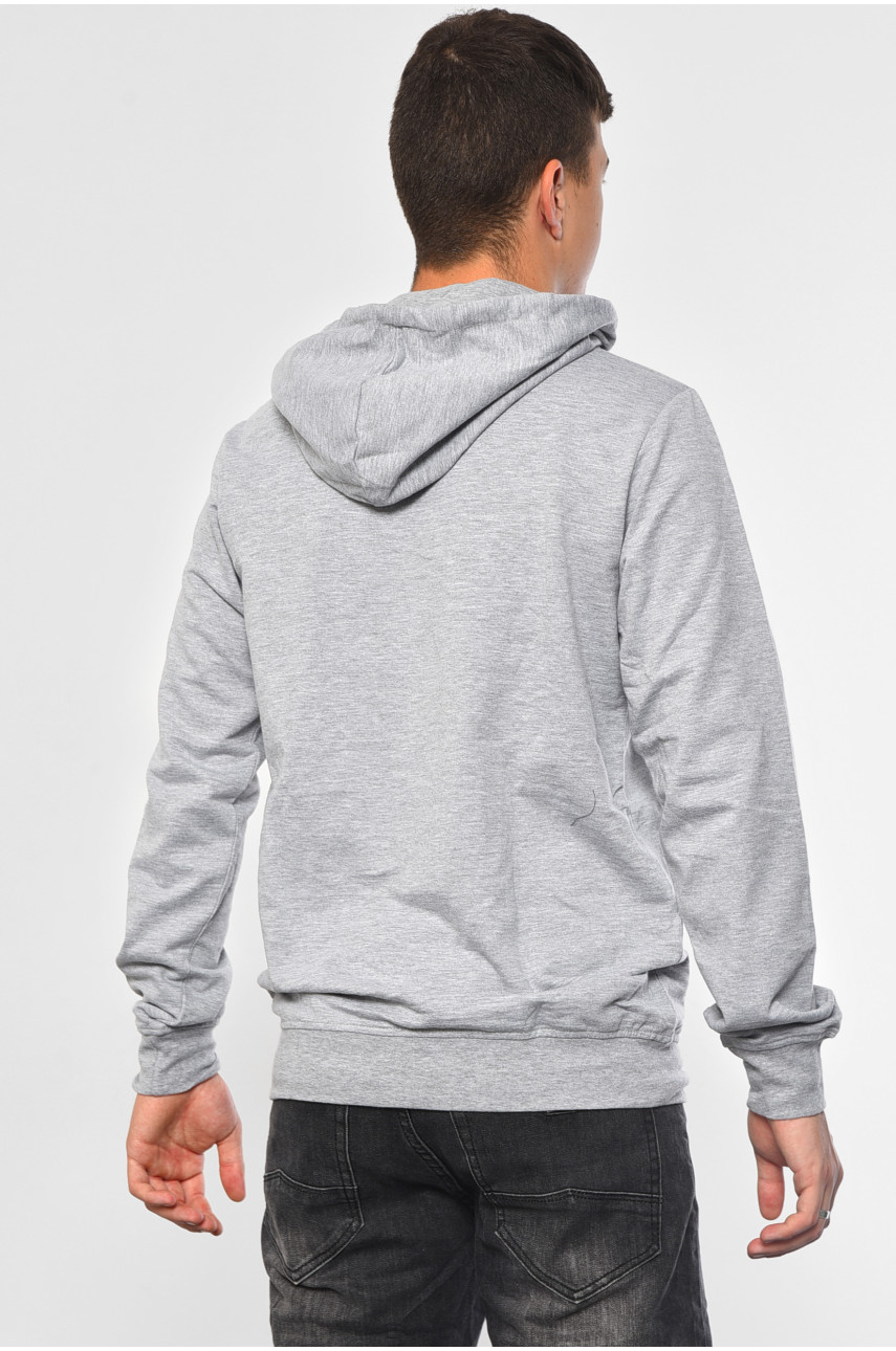 Худі чоловіче світло-сірого кольору 714 182309