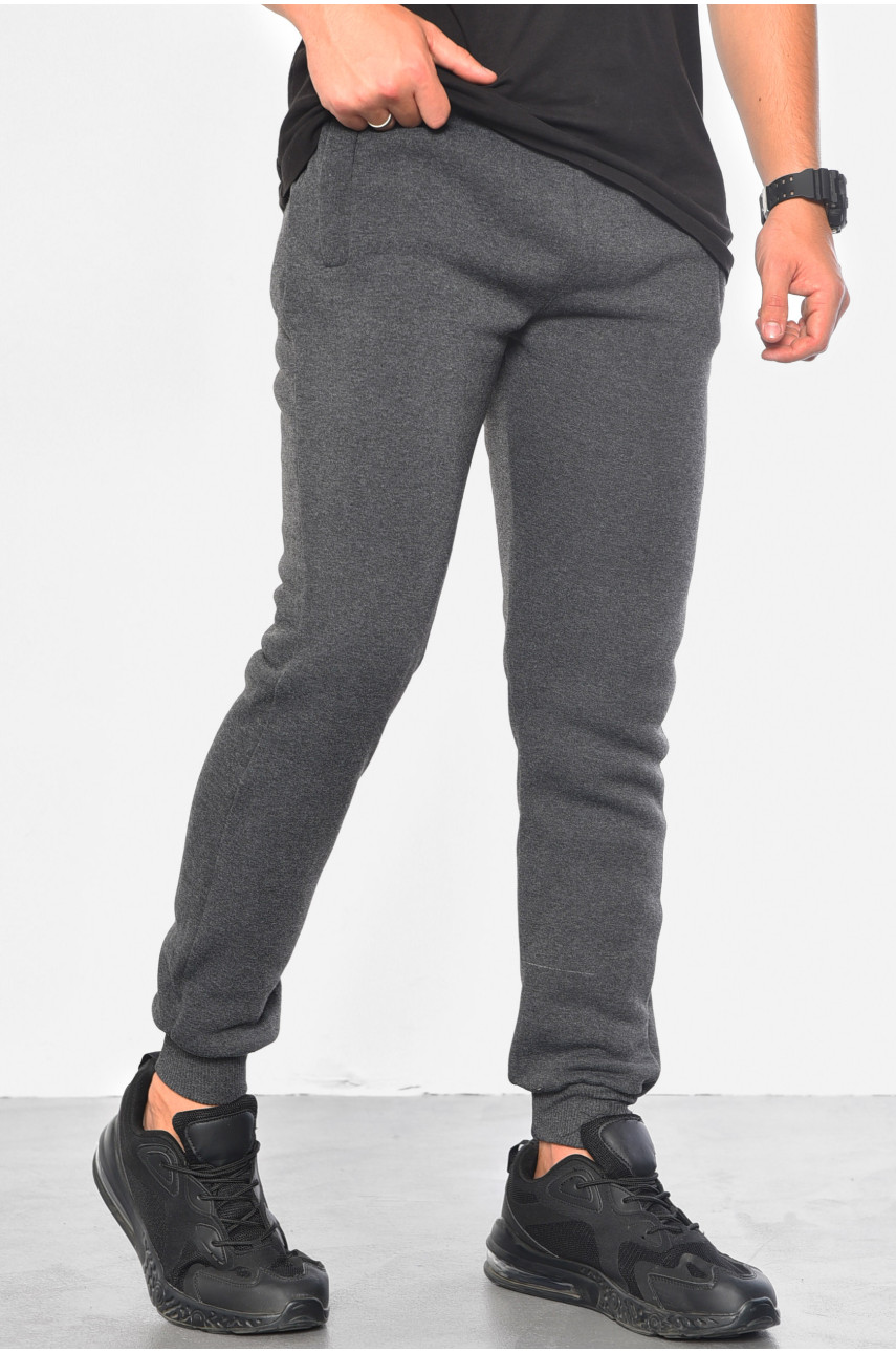 Спортивные штаны мужские на флисе серого цвета 07004 183061