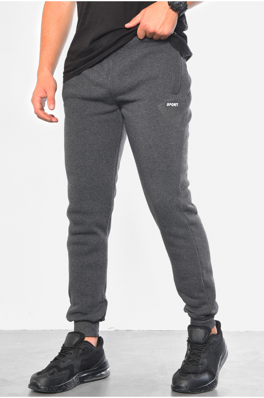 Спортивные штаны мужские на флисе серого цвета 07004 183061