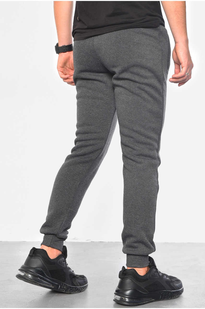 Спортивные штаны мужские на флисе серого цвета 07004 183061
