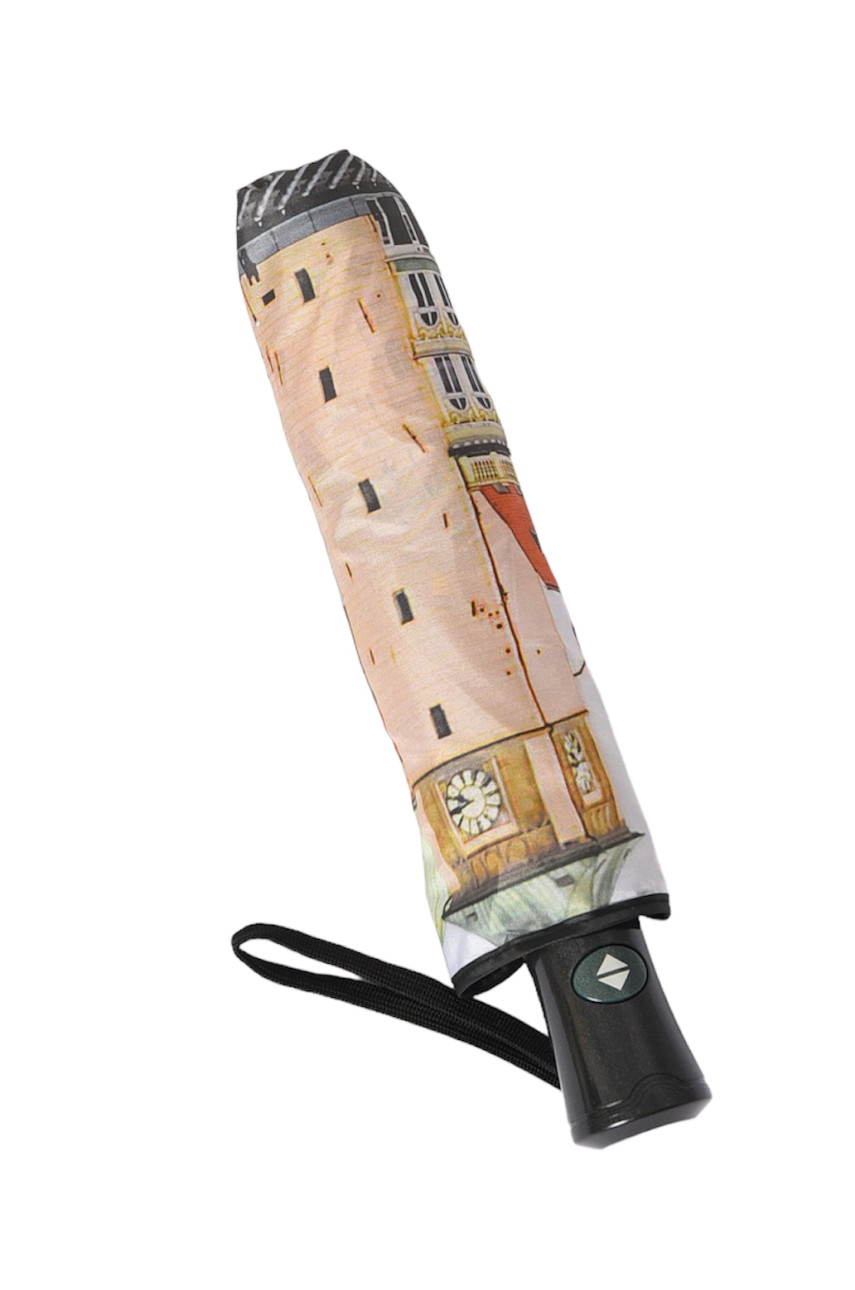 Парасолька автомат з принтом 2049 184418 Парасолька автомат з принтом 2049 184418