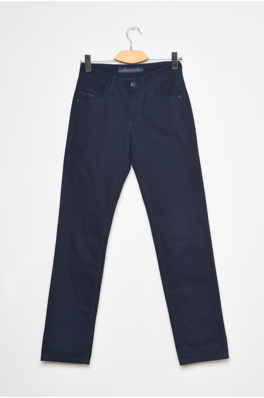 Штаны мужские темно-синего цвета 2041 184758 Штаны мужские темно-синего цвета 2041 184758
