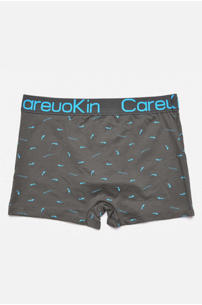 Боксери чоловічі напівбатальні темно-сірого кольору 4788 187294 Боксери чоловічі напівбатальні темно-сірого кольору 4788 187294