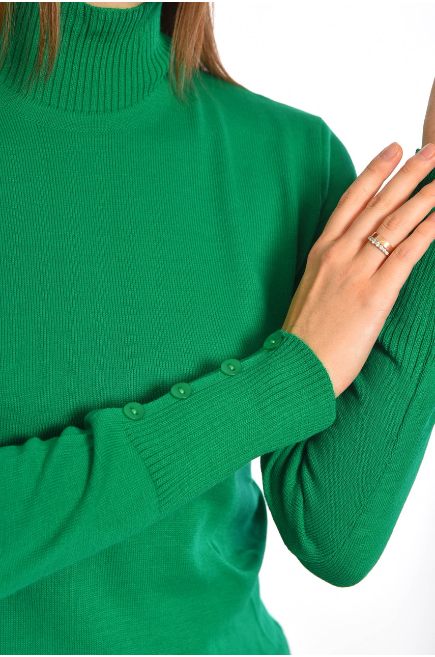 Гольф женский однотонный зеленого цвета 4660 187871 Гольф женский однотонный зеленого цвета 4660 187871