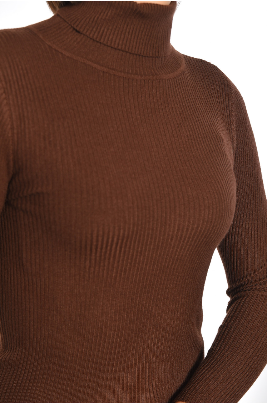 Гольф жіночий однотонний коричневого кольору 188255