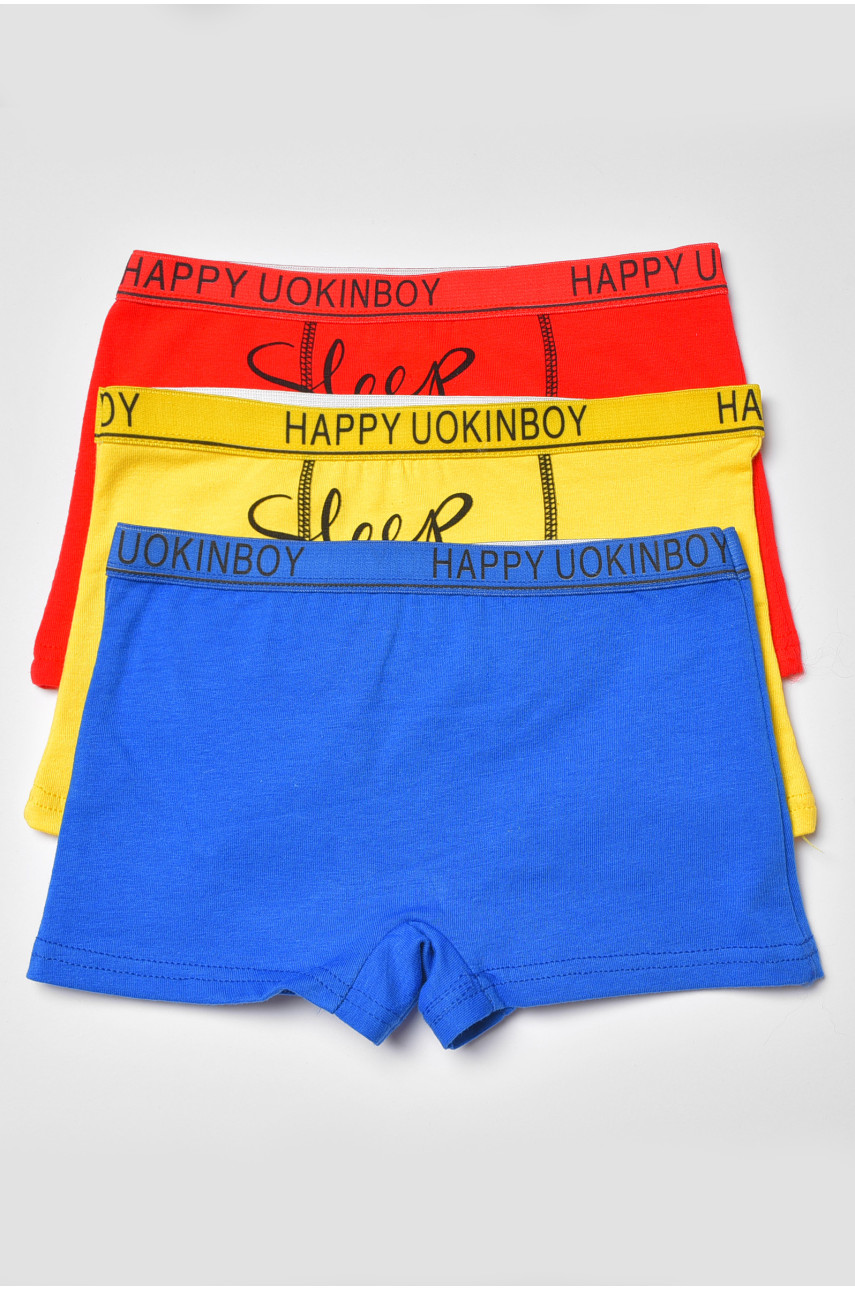 Комплект боксерів дитячих для хлопчика 3 шт А7939 188467