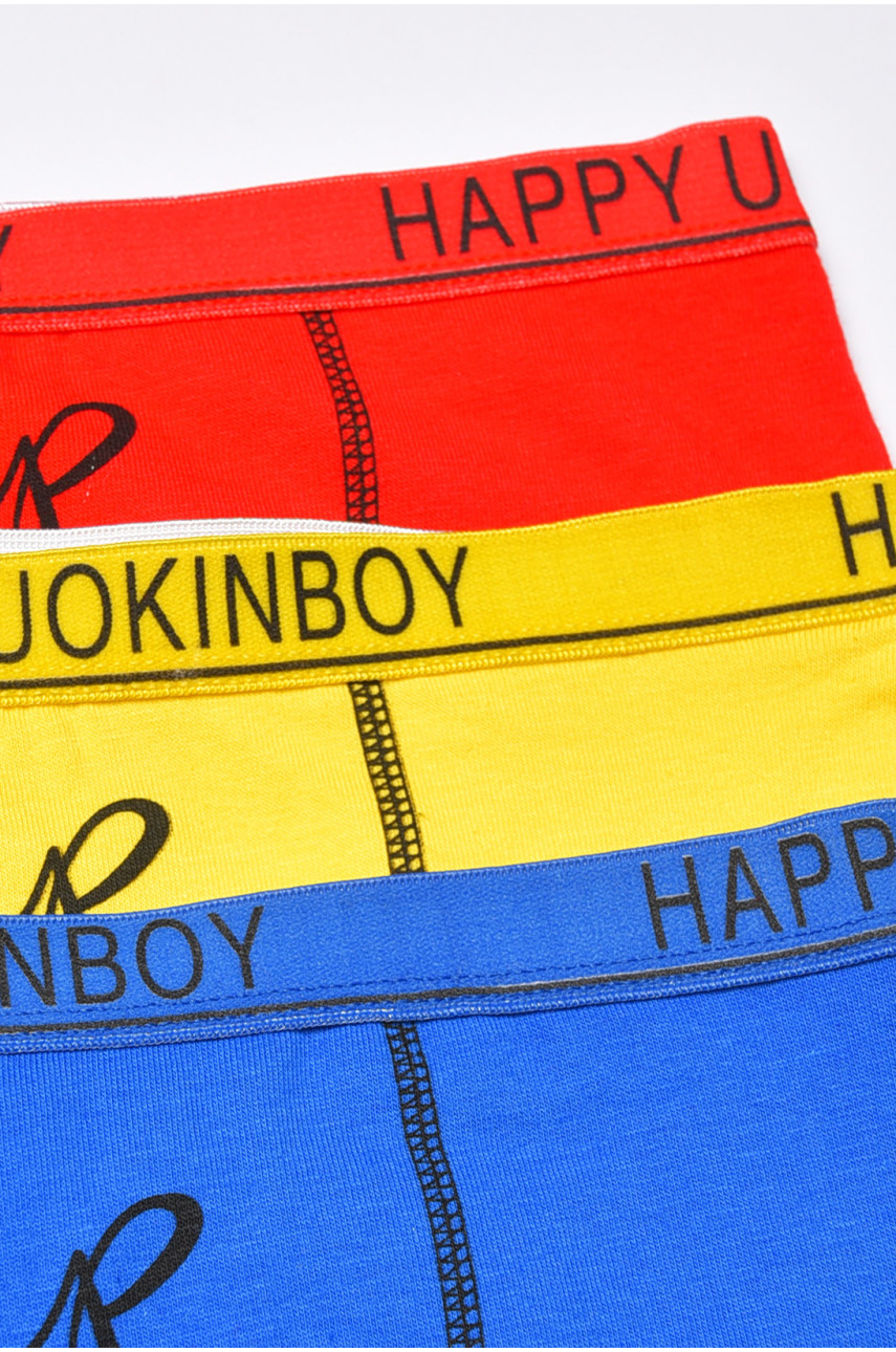 Комплект боксерів дитячих для хлопчика 3 шт А7939 188467