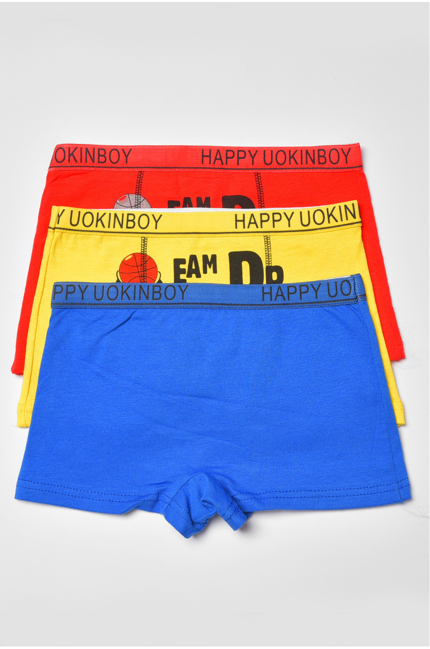 Комплект боксерів дитячих для хлопчика 3 шт А7910 188470