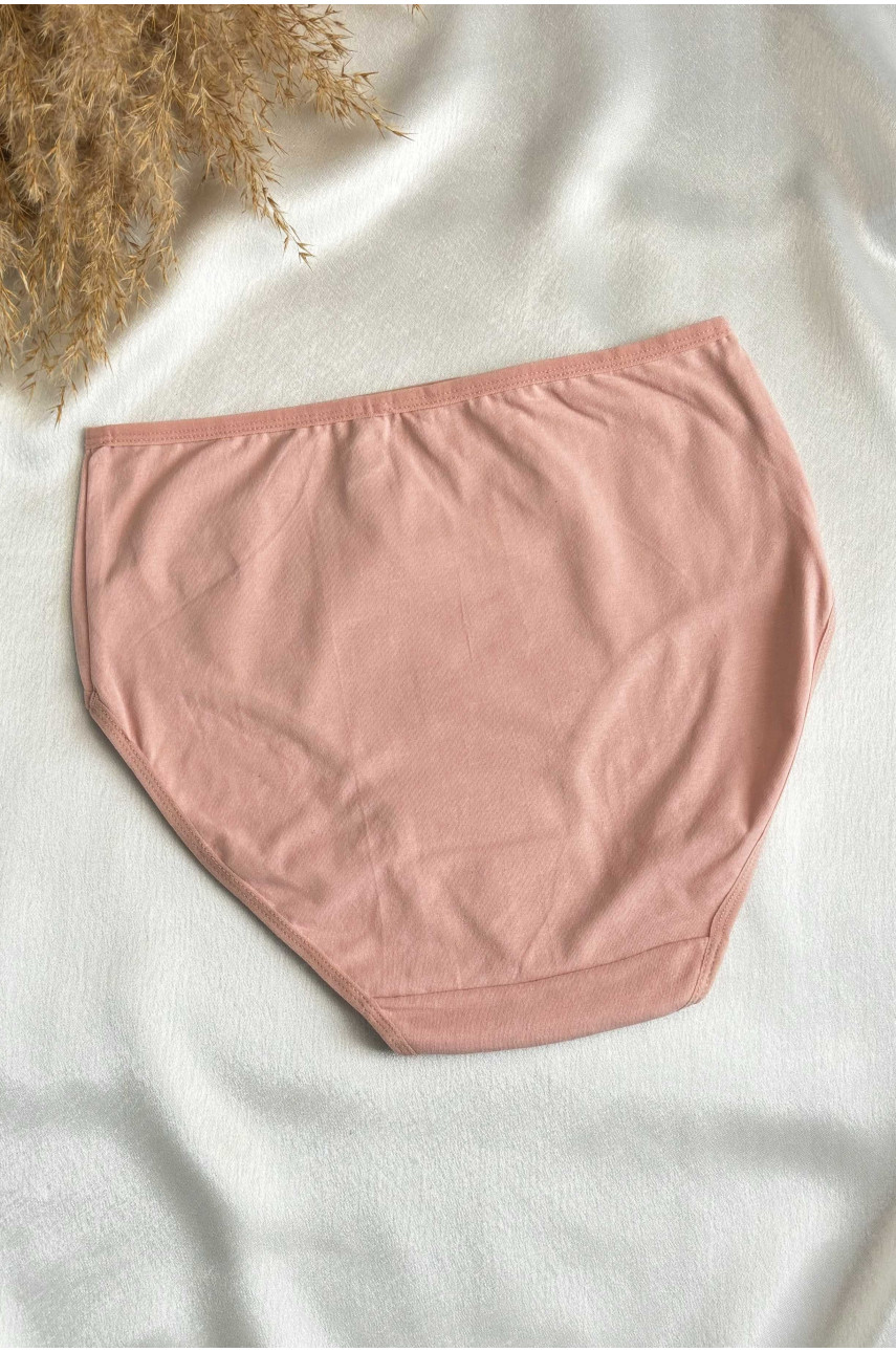 Трусы женские батальные пудрового цвета однотонные 38265 188534 Трусы женские батальные пудрового цвета однотонные 38265 188534