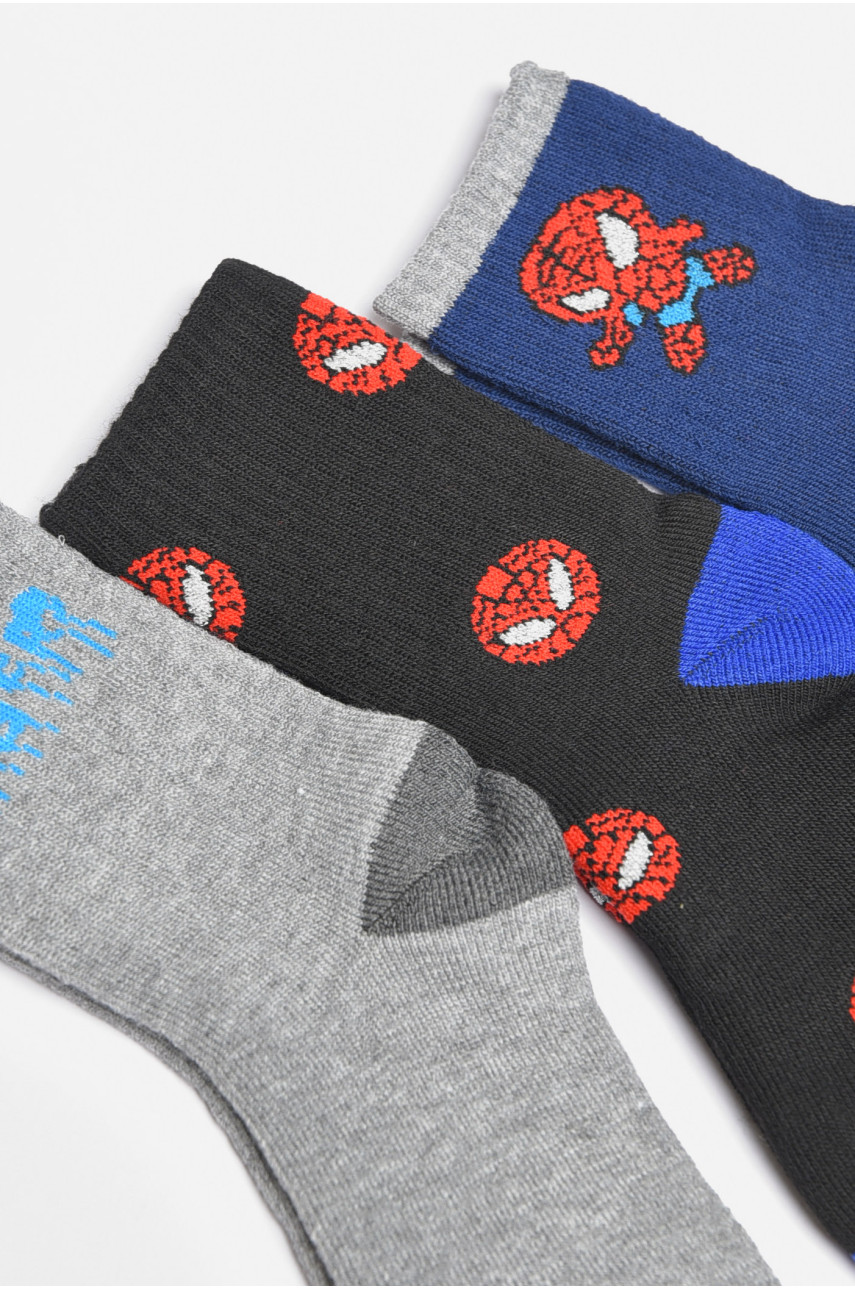 Набір дитячих шкарпеток для хлопчика 3 штуки 3038 189463