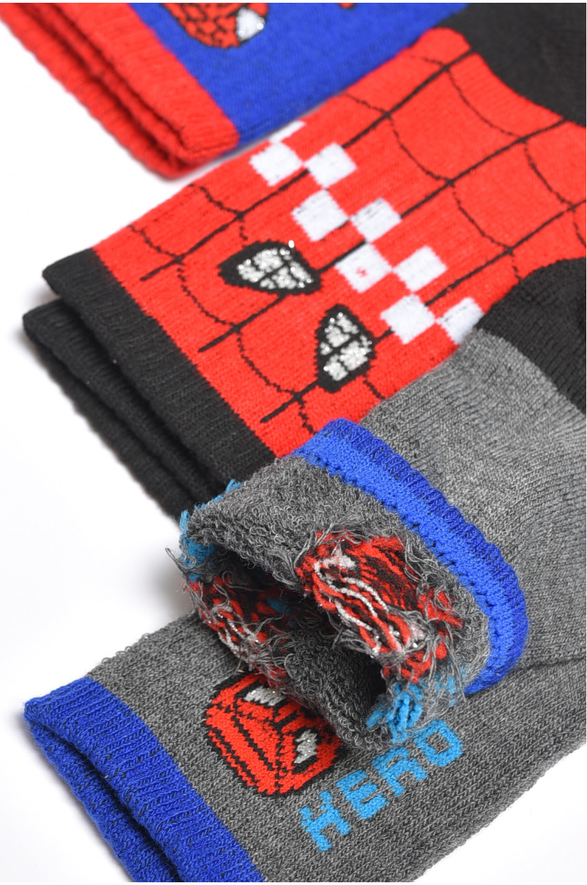 Набір дитячих шкарпеток для хлопчика 3 штуки 3038 189464