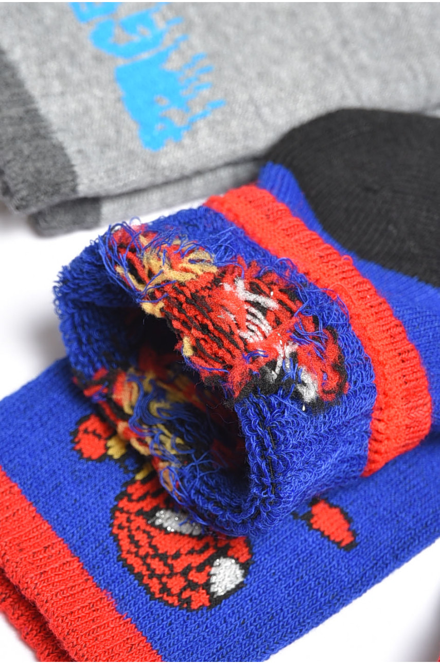 Набір дитячих шкарпеток для хлопчика 3 штуки 3038 189465