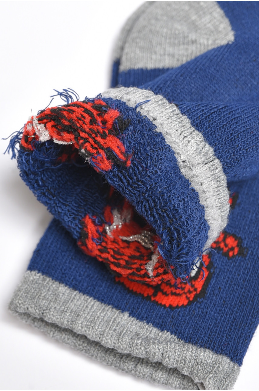 Набір дитячих шкарпеток для хлопчика 3 штуки 3038 189466