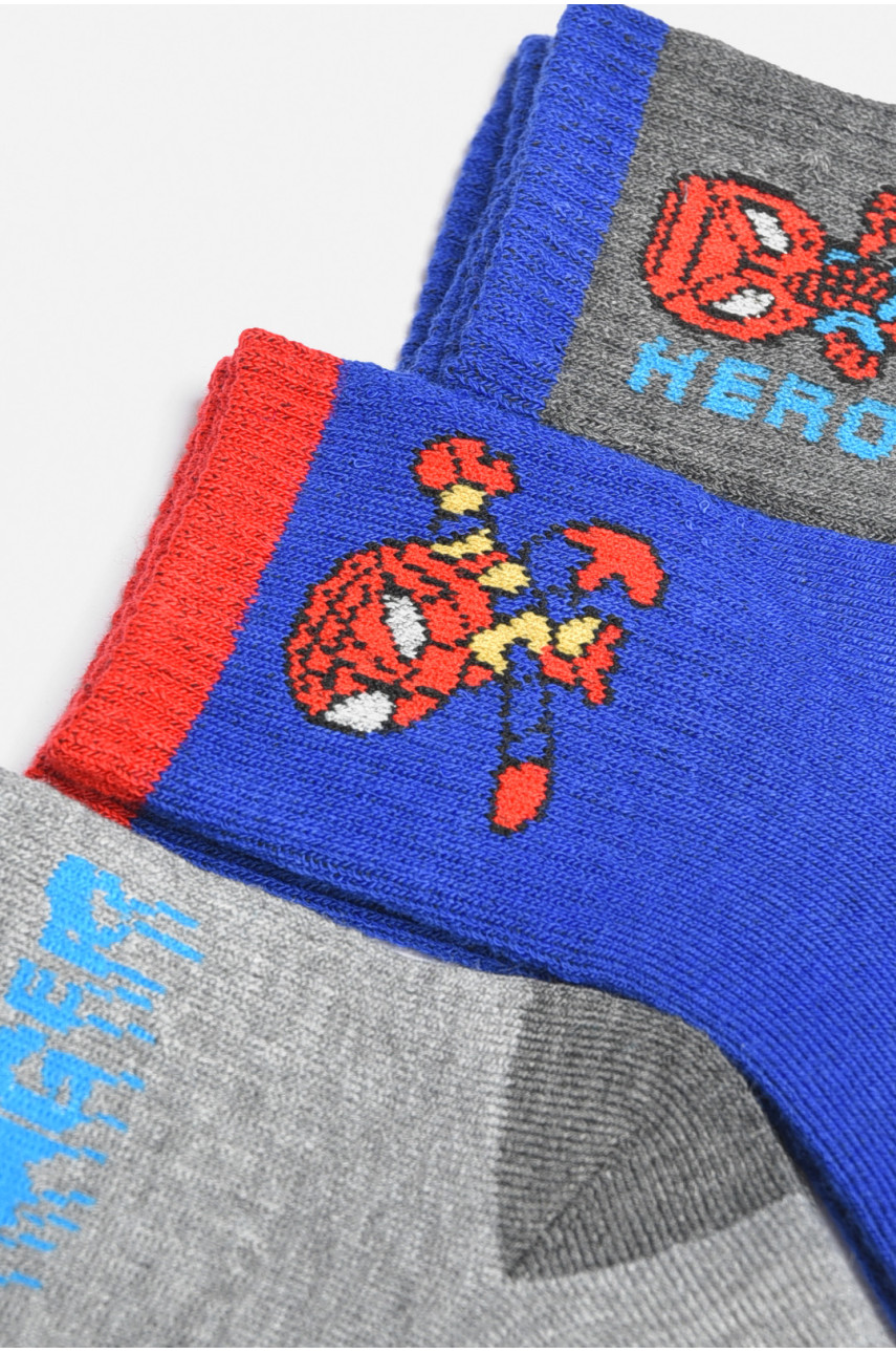 Набір дитячих шкарпеток для хлопчика 3 штуки 3038 189467