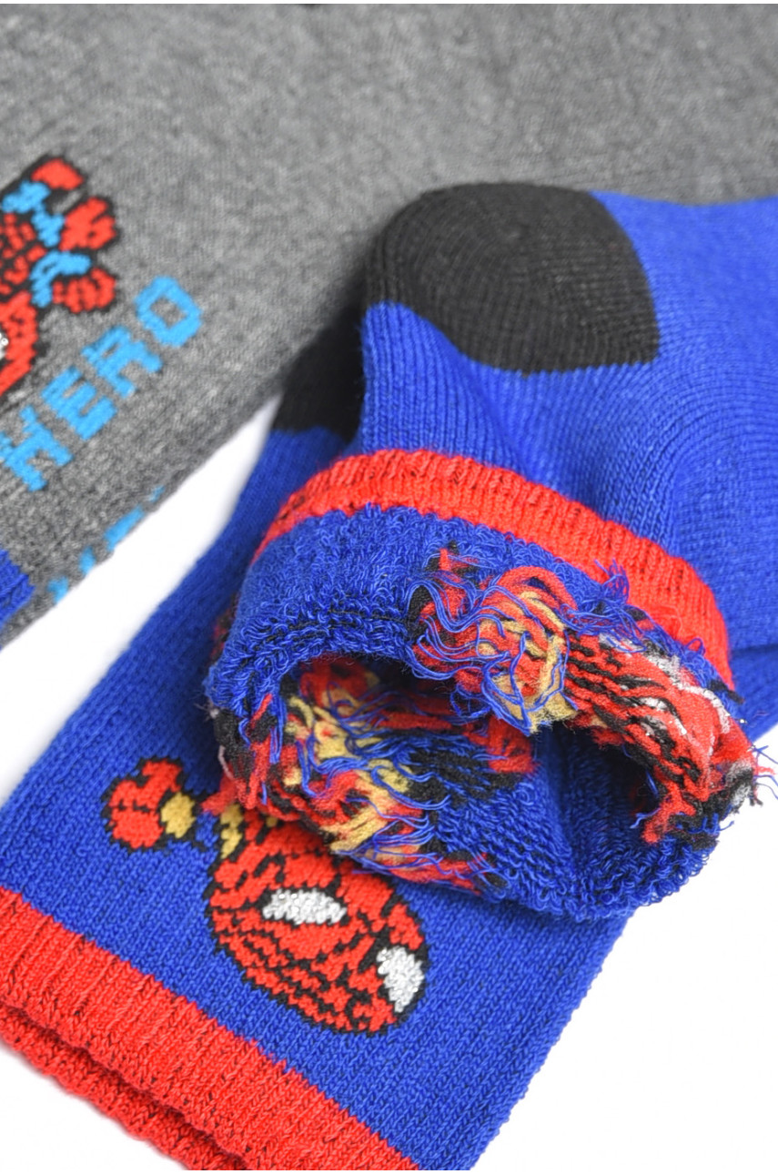 Набір дитячих шкарпеток для хлопчика 3 штуки 3038 189467