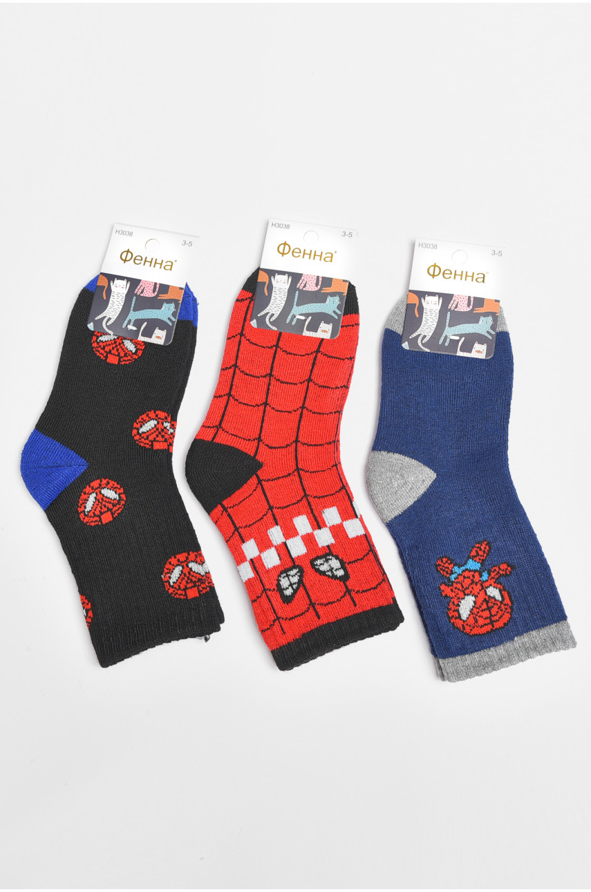Набір дитячих шкарпеток для хлопчика 3 штуки 3038 189468