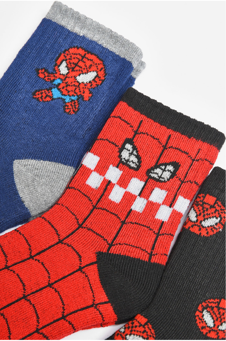 Набір дитячих шкарпеток для хлопчика 3 штуки 3038 189468
