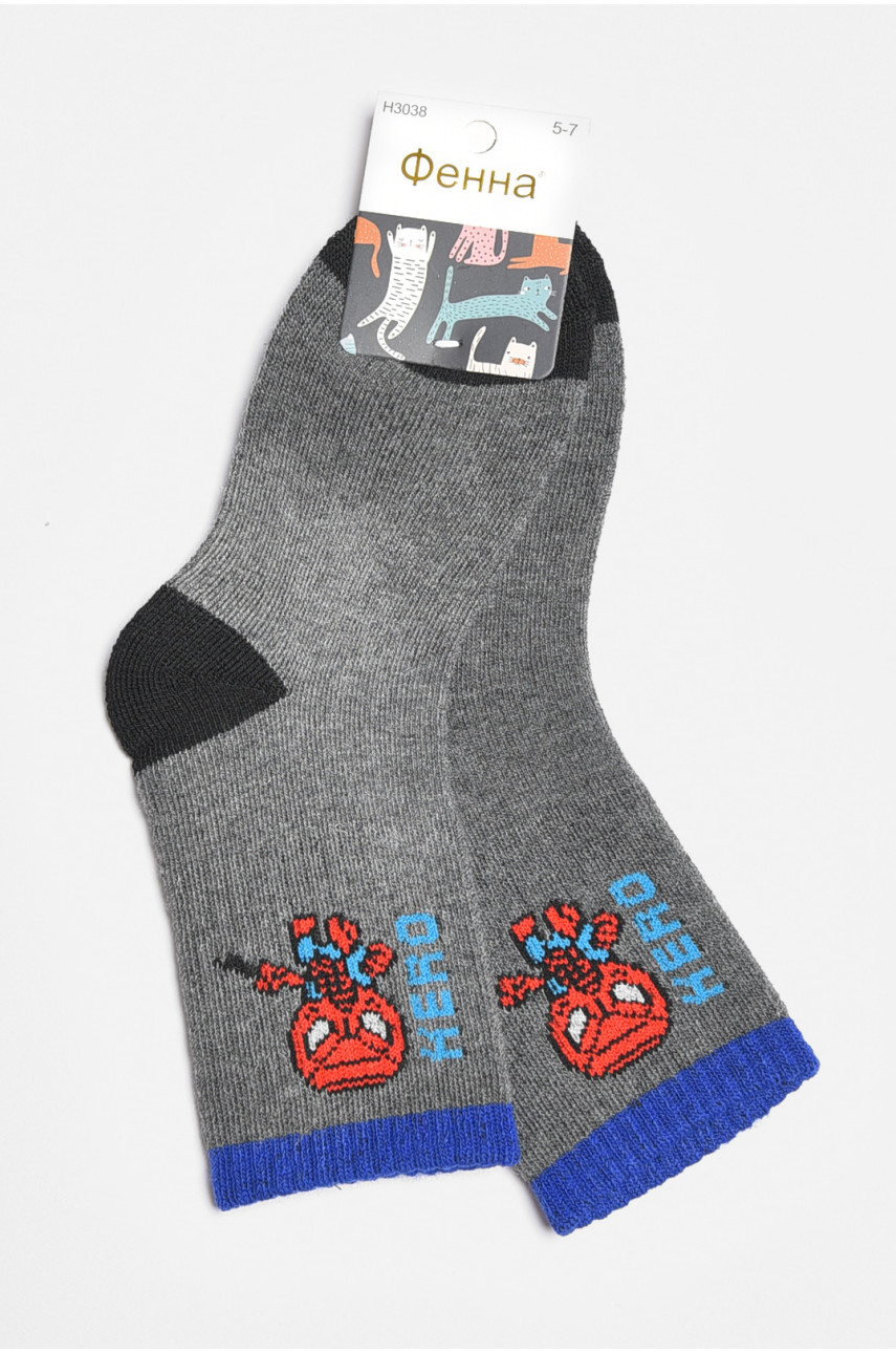 Шкарпетки дитячі для хлопчика темно-сірого кольору 3038 189471
