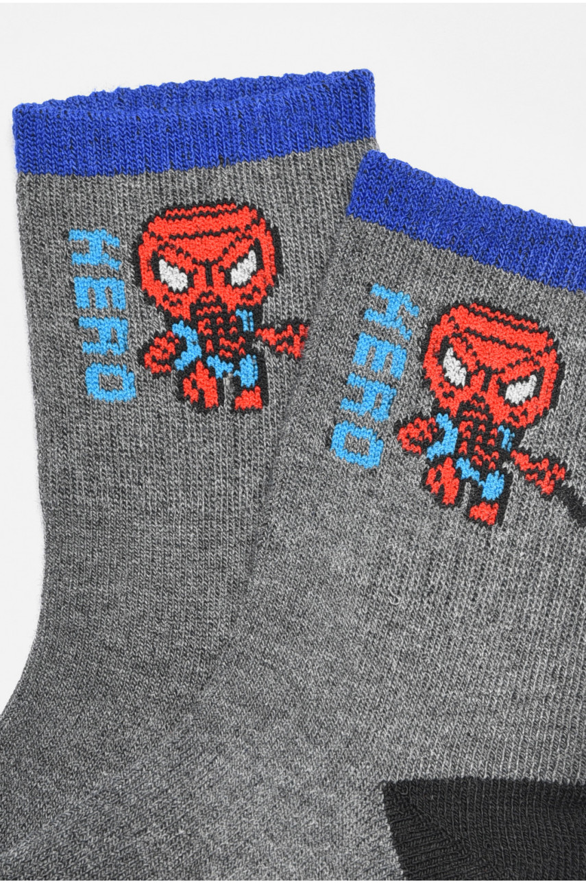 Шкарпетки дитячі для хлопчика темно-сірого кольору 3038 189471