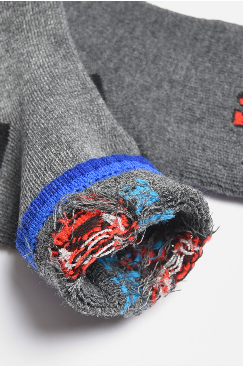 Шкарпетки дитячі для хлопчика темно-сірого кольору 3038 189471