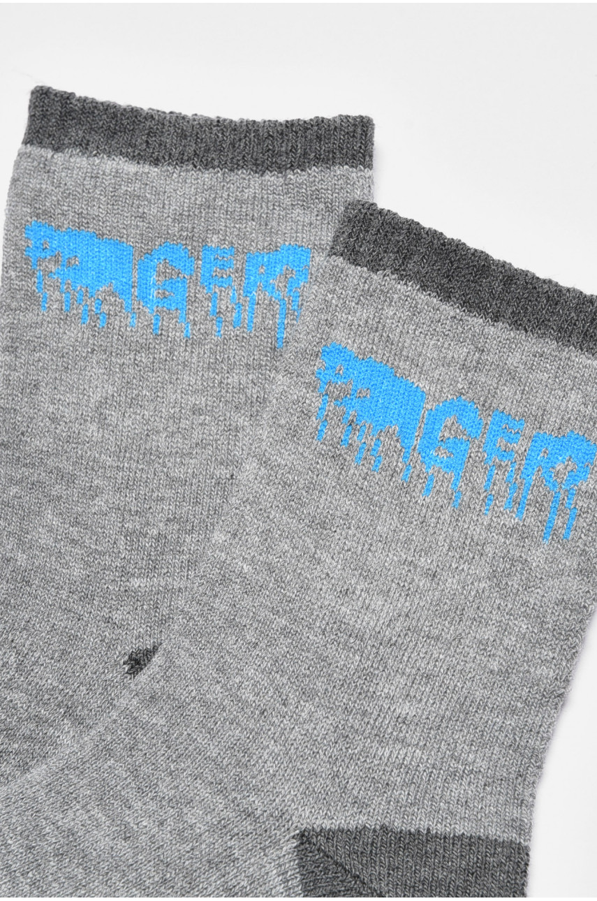 Шкарпетки дитячі для хлопчика сірого кольору 3038 189473