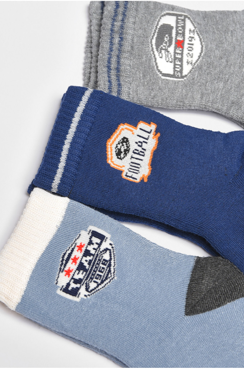 Набір дитячих шкарпеток для хлопчика 3 штуки 3051 189487