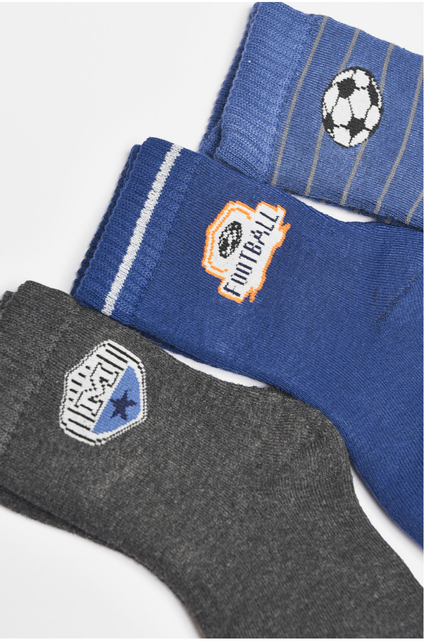 Набір дитячих шкарпеток для хлопчика 3 штуки 3051 189490